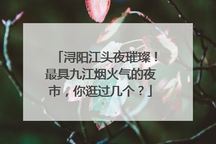 浔阳江头夜璀璨！最具九江烟火气的夜市，你逛过几个？